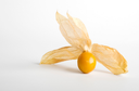 Physalis planta bogata in vitamina C care sustine sanatatea pielii