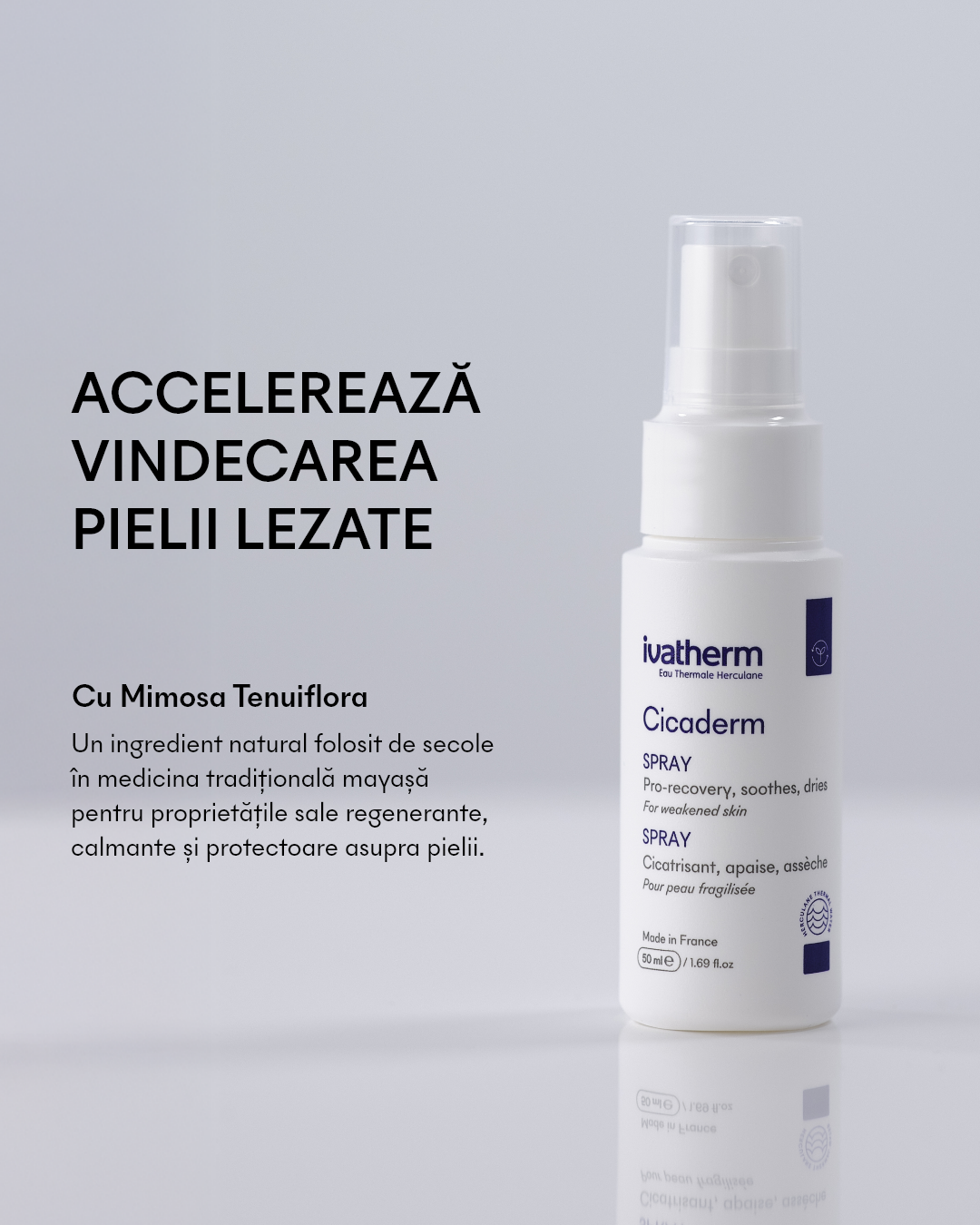 Cicaderm Spray reparator cu Mimosa tenuiflora pentru leziuni umede și piele sensibilă, 50 ml