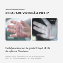 Cicaderm Cremă Reparatoare cu Mimosa Tenuiflora