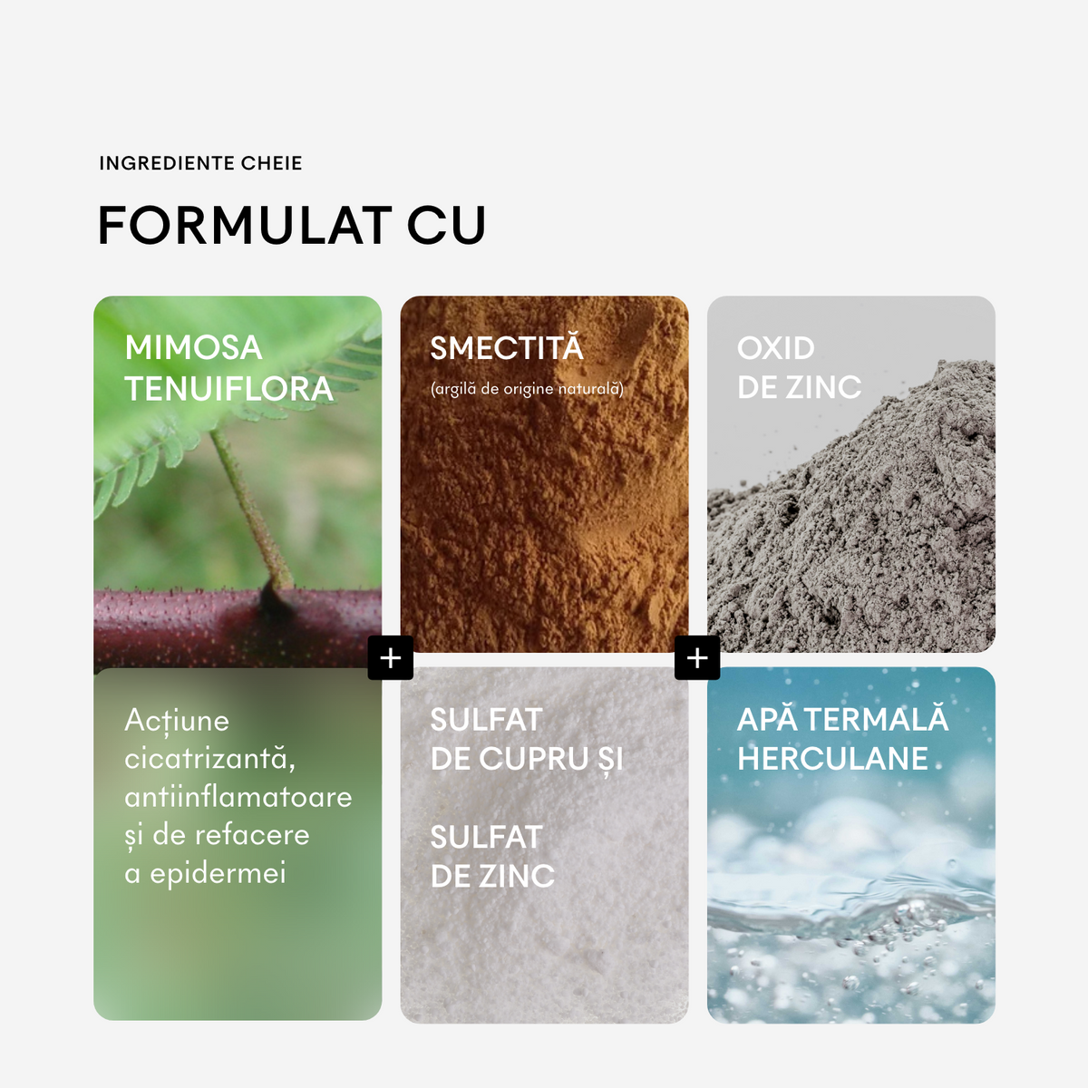 Cicaderm Spray reparator cu Mimosa tenuiflora pentru leziuni umede și piele sensibilă, 50 ml
