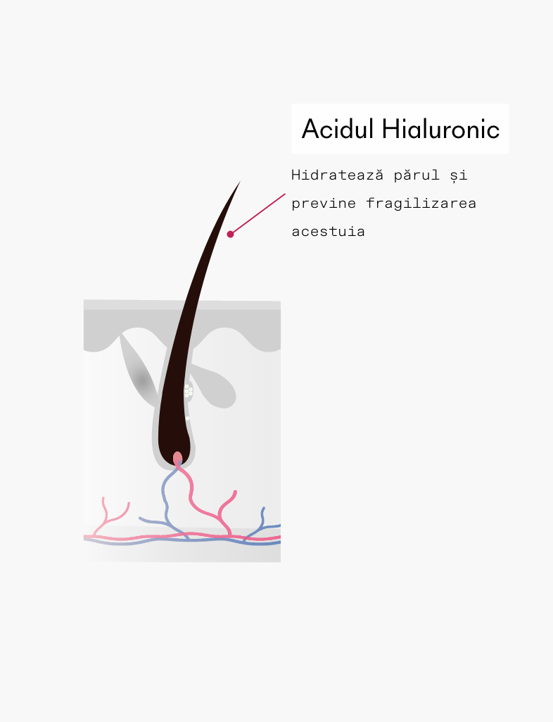 ivaHair serum ingredient acid hialuronic