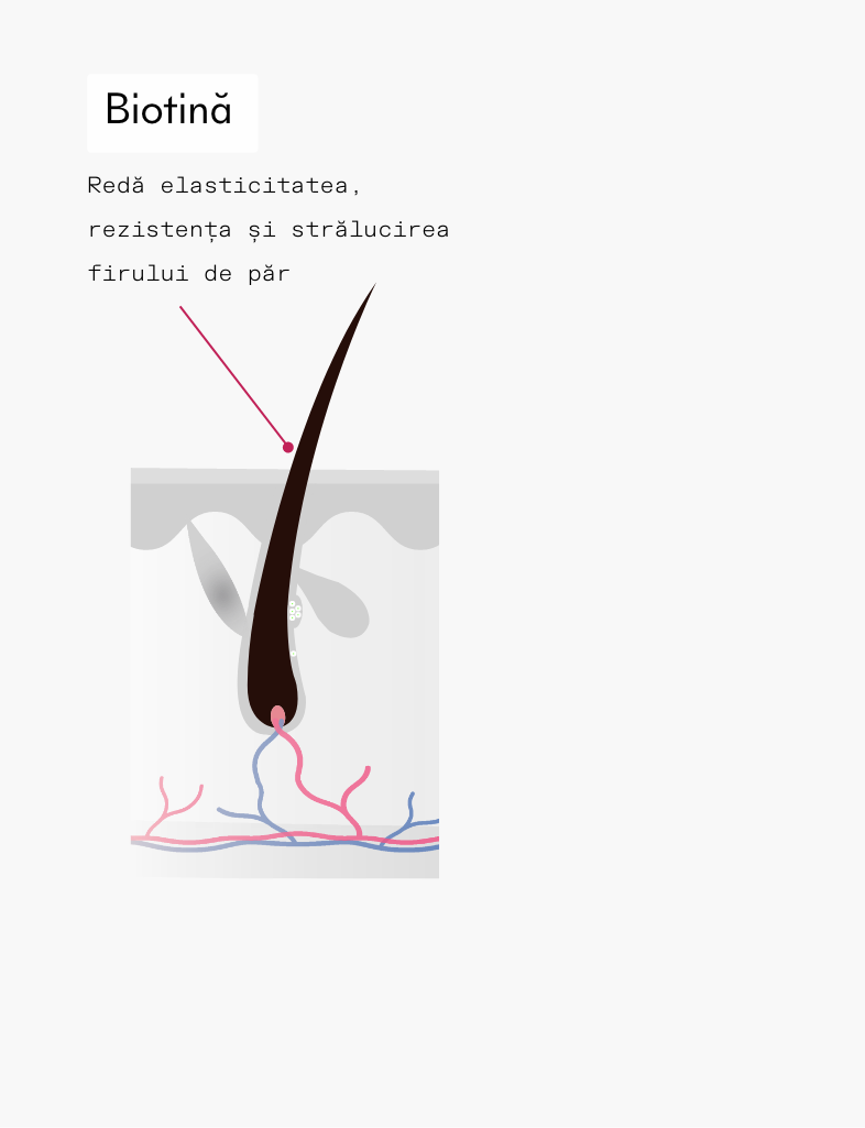ivaHair serum ingredient biotina