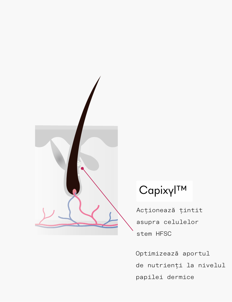 ivaHair serum ingredient capixyl