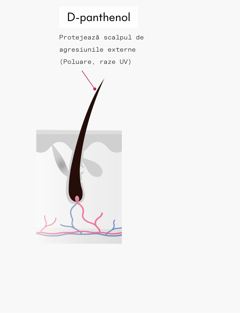 ivaHair serum ingredient d panthenol