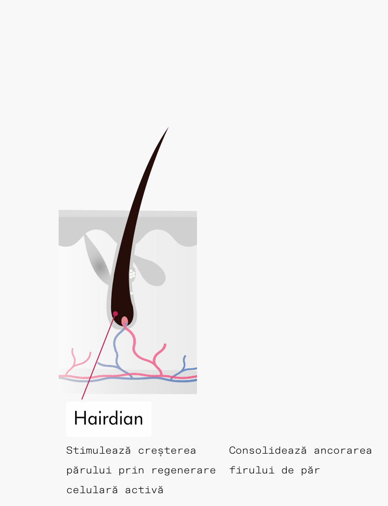 ivaHair serum ingredient hairdian