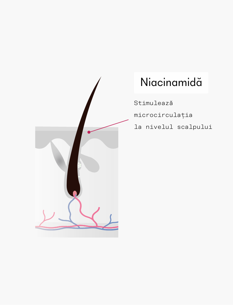 ivaHair serum ingredient niacinamida