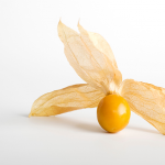 Physalis, planta bogată în vitamina C care susține sănătatea pielii și a întregului organism