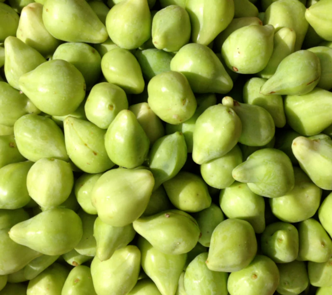 Kakadu Plum