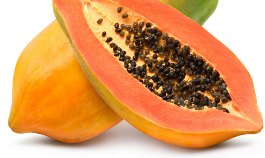 Extract de Papaya